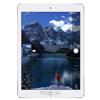 Планшет Apple iPad Pro 9.7 256Gb Wi-Fi
