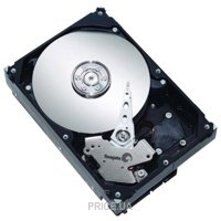 Seagate ST3250620NS