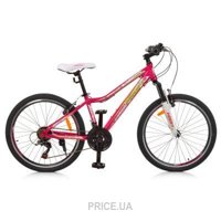 Profi Trike G24CARE A24.1