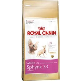 Spijsverteringsorgaan impliciet stout royal canin sphynx 10 kg,yasserchemicals.com