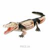 Фото 4D Master Крокодил Анатомия животных (26114)