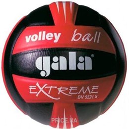 Мяч Gala Volleyball (BV5221SE1)