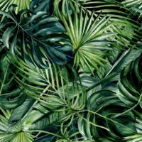 CERROL Cerrol Cyperus Diamond Sparkle 60*60 Декор
